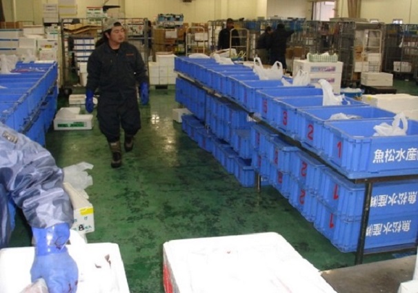 魚加工品等の小分け、ピースピッキング
